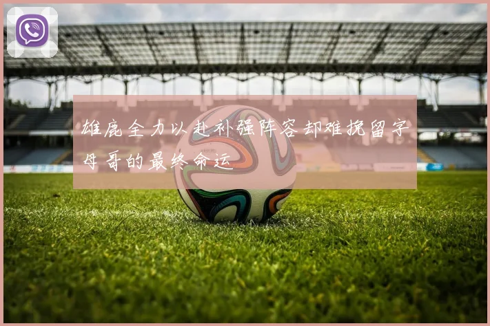 雄鹿全力以赴补强阵容却难挽留字母哥的最终命运