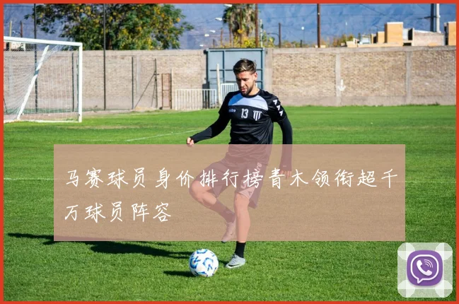 马赛球员身价排行榜青木领衔超千万球员阵容