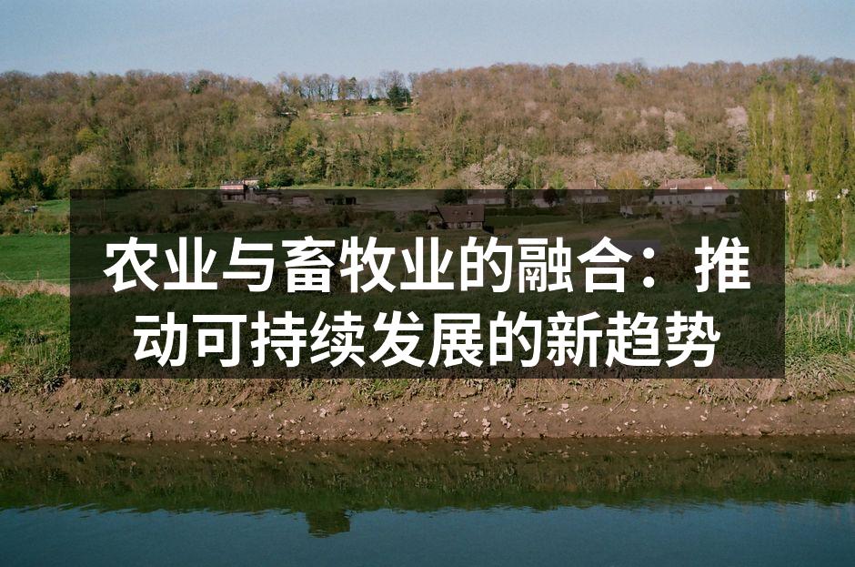 农业与畜牧业的融合：推动可持续发展的新趋势