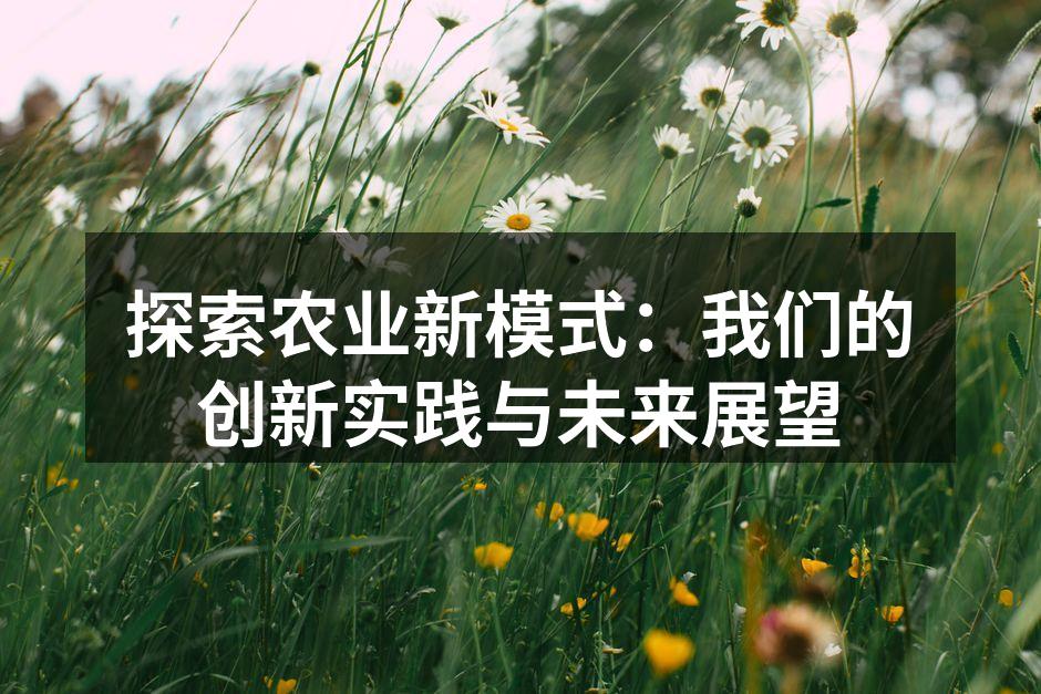探索农业新模式：我们的创新实践与未来展望